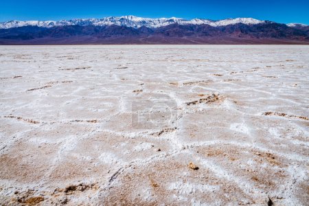 Téléchargez les photos : Dépôts de sel dans le bassin Badwater dans le parc national Death Valley en Californie - en image libre de droit