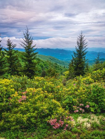 Foto de Vista panorámica de las montañas Smokie desde Blue Ridge Parkway cerca de Maggie Valley, Carolina del Norte - Imagen libre de derechos