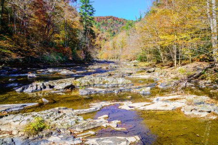 Photo for Scenic view of Big Laurel Creek in North Carolina in fall - Royalty Free Image