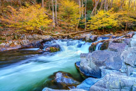 Téléchargez les photos : Une cascade sur le ruisseau Big Laurel en Caroline du Nord à l'automne - en image libre de droit