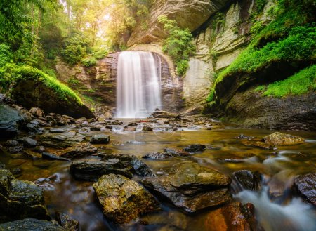 Foto de Looking Glass Falls in the Pisgah National Forest near Brevard, North Carolina - Imagen libre de derechos