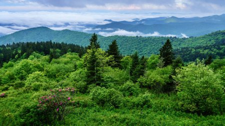 Foto de Vista panorámica de las montañas Smokie desde Blue Ridge Parkway cerca de Maggie Valley, Carolina del Norte - Imagen libre de derechos