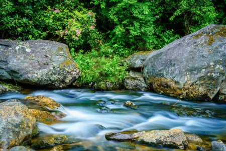 Image longue exposition d'un petit ruisseau à Maggie Valery, Caroline du Nord