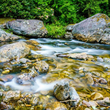 Image longue exposition d'un petit ruisseau à Maggie Valery, Caroline du Nord