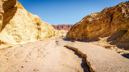 Téléchargez les photos : Sentier pédestre à travers le Golden Canyon avec vue sur les formations rocheuses de la cathédrale rouge dans le parc national de Death Vallley en Californie - en image libre de droit