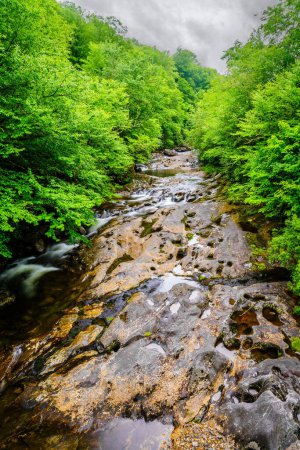 Long exposure image of West Fork Pigeon River near Maggie Valley, North Carolina.