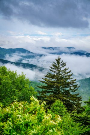 Vista panorámica de las montañas Smokie desde Blue Ridge Parkway cerca de Maggie Valley, Carolina del Norte