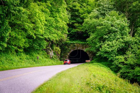 Bündel kahler Tunnel am Blue Ridge Parkway in North Carolina