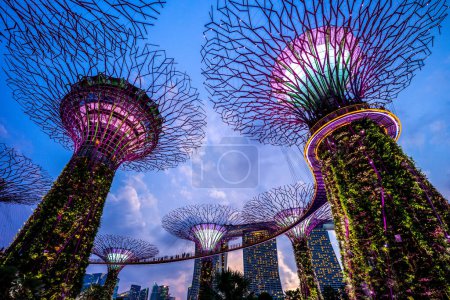 Téléchargez les photos : Paysage des jardins au bord de la baie à singapore - en image libre de droit
