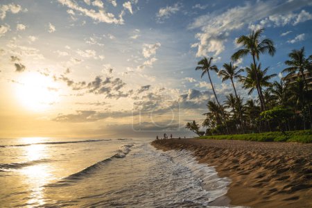 Téléchargez les photos : Paysage à la plage de kaanapali dans l'île de Maui, Hawaï - en image libre de droit