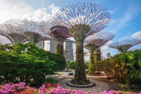 Téléchargez les photos : 6 février 2020 : Supertree grove at marina bay garden in singapore, ont été conçus et conçus par Grant Associates. Chaque superarbre a son propre caractère planté et une fonction environnementale spécifique. - en image libre de droit