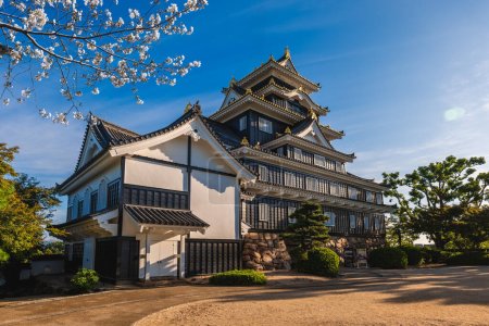 Téléchargez les photos : Tour Donjon du château d'Okayama, alias château d'Ujo ou de corneille, à okayama, Japon - en image libre de droit