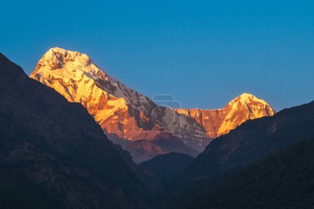 Téléchargez les photos : Décor du massif de l'Annapurna dans l'Himalaya, népal au crépuscule - en image libre de droit