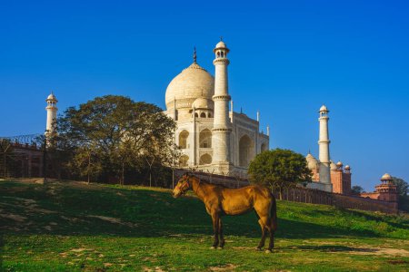 Téléchargez les photos : Taj Mahal, site du patrimoine mondial de l'UNESCO, à Agra, Inde au crépuscule - en image libre de droit