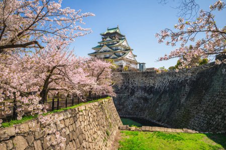 Téléchargez les photos : Jardin de Nishinomaru du château d'Osaka à osaka ville au Japon - en image libre de droit
