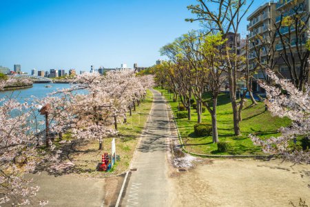 Kema Sakuranomiya Park, ein Park in der Nähe des Ogawa Flusses in Osaka und berühmt für seine Kirschblüte in Japan