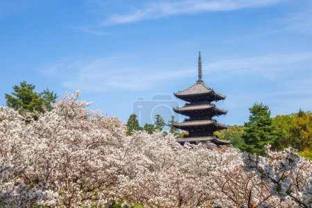 Foto de Pagoda de cinco pisos del templo Ninnaji en Kyoto, Kansai, Japón - Imagen libre de derechos