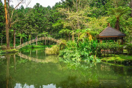 Téléchargez les photos : University Pond, Xitou Forest Recreational Area dans le comté de Nantou à Taiwan - en image libre de droit