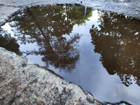 Photo for Reflection of a tree and sky in a deep autumn puddle. - Royalty Free Image
