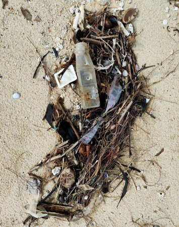 Téléchargez les photos : Plastique et autres déchets sur la plage sale. - en image libre de droit