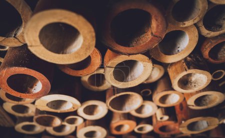 Téléchargez les photos : Tranches de bambou d'un vieux mur naturel décoré. - en image libre de droit