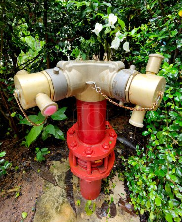 Téléchargez les photos : Bouche d'incendie rouge se trouve devant un jardin. - en image libre de droit