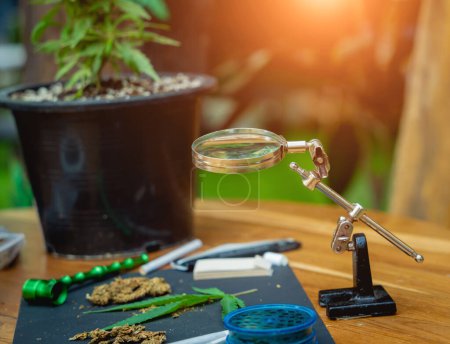 Foto de Juntas y brotes de cannabis medicinal y cigarrillos en una mesa de madera. - Imagen libre de derechos