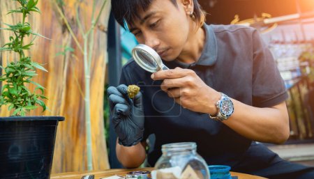 Photo for A young man examines under a magnifying glass the joints and buds of medical marijuana. - Royalty Free Image