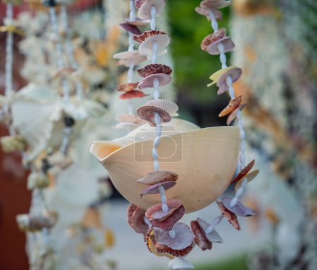 Foto de Souvenir hecho a mano decorado con diferentes conchas de mar. - Imagen libre de derechos