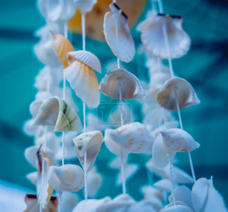 Photo for Handmade souvenir decorated with different sea shells. - Royalty Free Image