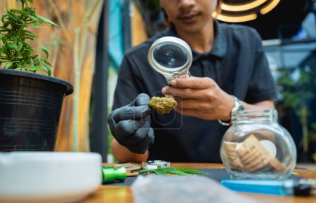 Photo for A young man examines under a magnifying glass the joints and buds of medical marijuana. - Royalty Free Image
