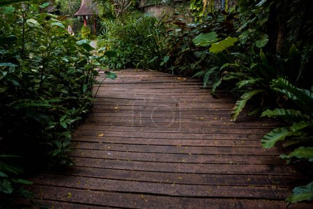 Photo for Old rustic wooden stairs in the garden - Royalty Free Image