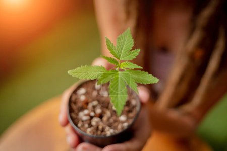 Foto de Hippie estilo mujer cultivo medicinal marihuana arbusto. - Imagen libre de derechos