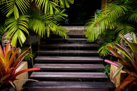 Photo for Old rustic wooden stairs in the garden - Royalty Free Image