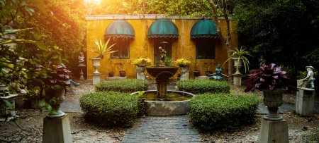 Téléchargez les photos : Aménagement paysager de luxe du jardin tropical. - en image libre de droit