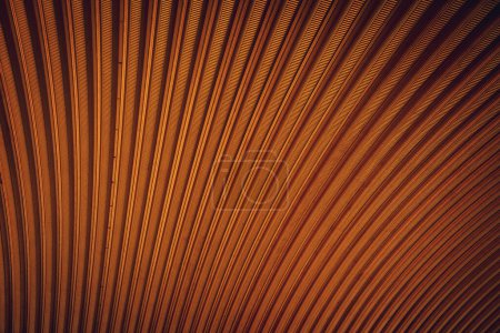 Photo for Abstract colored background of spiral metal arch. - Royalty Free Image