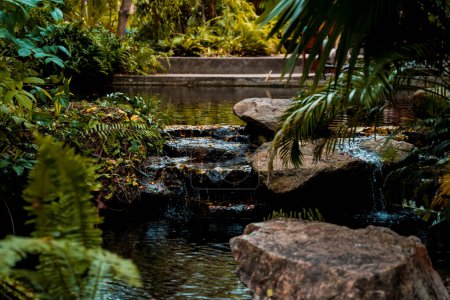 Photo for Luxury landscape design of the tropical garden. - Royalty Free Image
