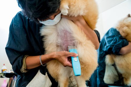 Foto de Peluquero con mascarillas protectoras cortando perro Pomerania en salón de aseo - Imagen libre de derechos