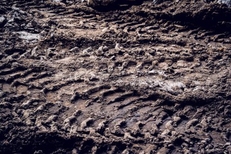 Photo for Excavator tire tracks footprint on construction road site. - Royalty Free Image