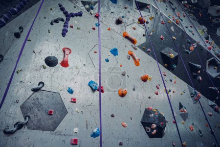 Téléchargez les photos : Mur d'escalade artificiel avec poignées et cordes colorées. - en image libre de droit