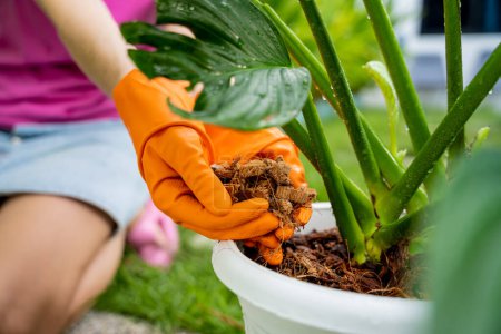 Téléchargez les photos : Une jeune femme s'occupe du jardin et pose de l'écorce sous les plantes. - en image libre de droit
