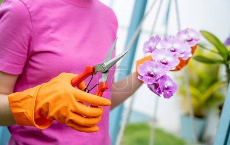 Photo for A young woman takes care of the garden, waters, fertilizes and prunes plants. - Royalty Free Image