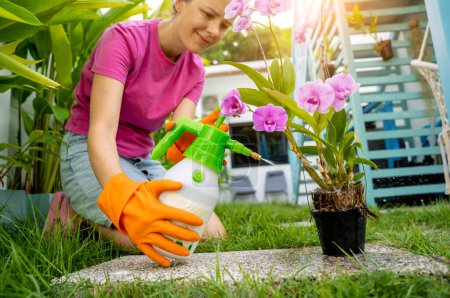 Téléchargez les photos : Une jeune femme s'occupe du jardin, des eaux, des engrais et des pruneaux. - en image libre de droit