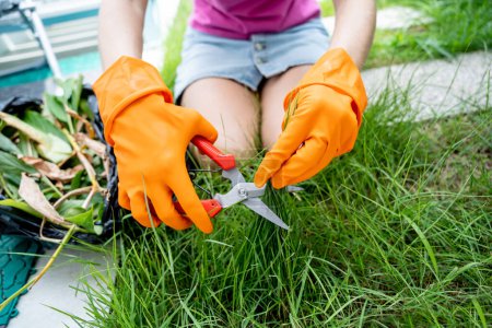 Eine junge Frau kümmert sich um den Garten und mäht Gras.