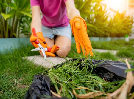 Photo for A young woman takes care of the garden and cutting grass. - Royalty Free Image
