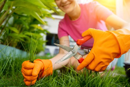 Foto de Una mujer joven cuida el jardín y corta la hierba. - Imagen libre de derechos