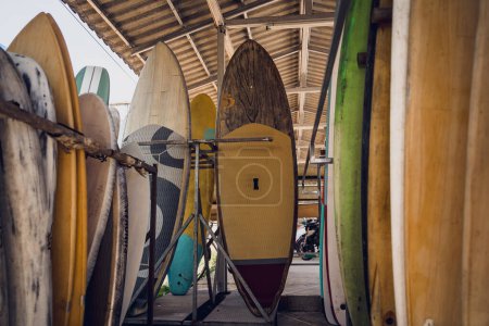A variety of surfboards are neatly displayed on a stand.