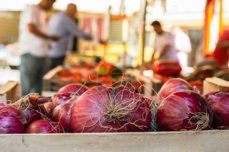 Foto de Cebolla roja en un mercado callejero Ballaro en Palermo Sicilia, puesto de verduras con fondo borroso - Imagen libre de derechos