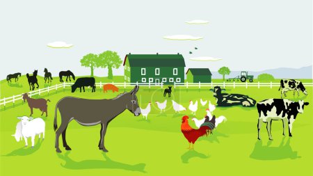 Foto de Agricultura amigable con burros, vacas, gallinas ilustración - Imagen libre de derechos