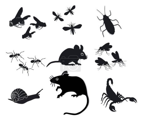 Téléchargez les illustrations : Bugs et ravageurs, isolés sur blanc, illustration - en licence libre de droit